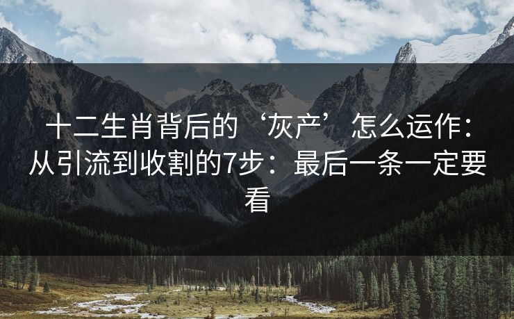 十二生肖背后的‘灰产’怎么运作：从引流到收割的7步：最后一条一定要看